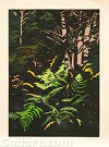  JOHN CARSMAN - YELLOW FERNS