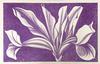  LOWELL NESBITT - IRIS