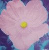  MARK MANN - FLOWER