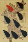  TING SHAO KUANG - FALL