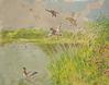  PAT BERGER - MALLARD FLIGHT