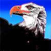  ANDY WARHOL - ENDANGERED SPECIES: BALD EAGLE FS II.296