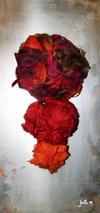  JODIE ANYSZ - ROSES IN SPACE