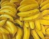  CESAR AUGUSTO CAMARENA - BANANAS