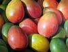  CESAR AUGUSTO CAMARENA - MANGOS EN PRIMER PLANO