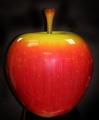  DAN MEYER - BIG APPLE (TEACHER'S PET)
