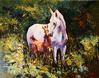  MARK KING - SPRING FOAL & MARE