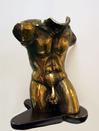  YVES LOHE - MALE TORSO