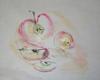  C. VOGEL - APPLES