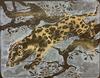  HANS ERNI - UNKNOWN (PANTHER)