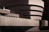  FRANCES MYERS - THE GUGGENHEIM