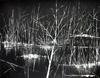  JEAN CLAUDE BRASSET - WHITE ON BLACK