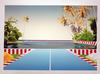  TERRY RADKO - LA PISCINE (THE POOLS)