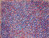 FRANCISCO (FRANK) MONTEAVARO - RED AND BLUE