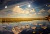  CHAB JAGARNAUTH - SWAMP LAND