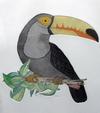 RICKSON - TOUCAN