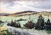  HENRY MARTIN GASSER - COUNTRYSIDE