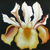  LOWELL NESBITT - JAPANESE IRIS