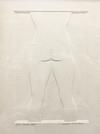 OMAR RAYO - WEIGHT WATCHERS