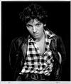  FRANK STEFANKO - BRUCE SPRINGSTEEN, BOUND