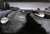  SHAWEA MILLETT - LOW TIDE