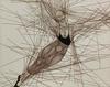  GUILLAUME AZOULAY - SOUBRESSAUT