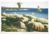  Claudio D'Angelo - ST.LAWRENCE ARCHIPELAGO
