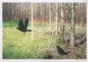  CLAUDIO D'ANGELO - CROWS BY THE WOODS