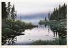  JAKE VANDENBRINK - A MIDSUMMER'S MORNING