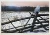  JAKE VANDENBRINK - A WINTER'S LIGHT