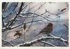  JAKE VANDENBRINK - WINTER IS UPON US