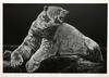  ROBERT POW - MALE POLAR BEAR