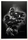  ROBERT POW - TEAL DUCKS