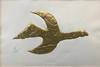  GEORGES BRAQUE - TITHONOS