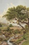  GEORGE SPENCER WATSON - UNTITLED