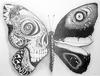 NILL ROMA - Black Butterfly