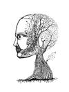 NILL ROMA - Tree Head