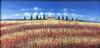  ROBERTO: GIOIA - PAESAGGIO TOSCANA