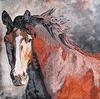 JOSE CANDIA - Looking ahead