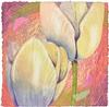  MIKULAS KRAVJANSKY - TULIPS
