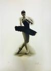  DOUGLAS HOFMANN - BLACK SWAN 