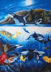  DAVID ZION - PACIFIC WHALES