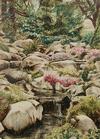  SUSAN SAHALL - WATERFALL