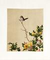 LANG SHIH-NING - ROSES AND WILD FLOWERS