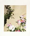 LANG SHIH-NING - PEONY