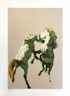  FRAN BULL - FIGHTING HORSES
